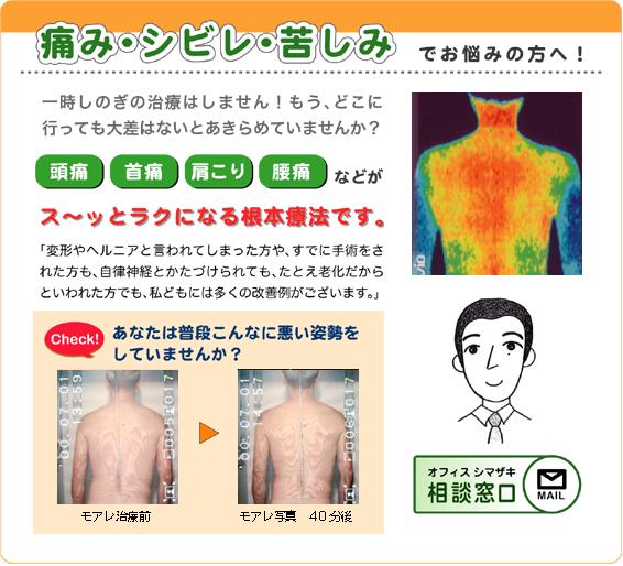 痛み・シビレ・苦しみでお困りの方へ ヘルニア 腰痛 頭痛 偏頭痛 坐骨神経痛 しびれ こり 頚椎 手 足 肩 腰 ひざの痛み 治療 自然治癒力 整体 カイロプラクティック カイロ ソフト 原因から オフィスシマザキ