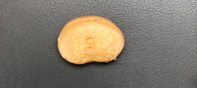 椎間板ヘルニア手術攻防戦 椎間板ヘルニア手術攻防戦